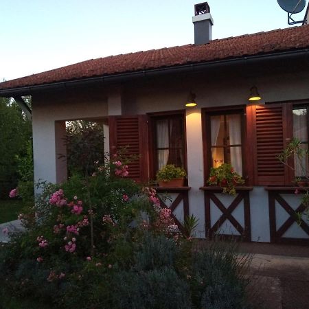 Nikolija 1 Apartment Bajina Basta Exterior photo